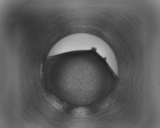 X0000082730219200702161915