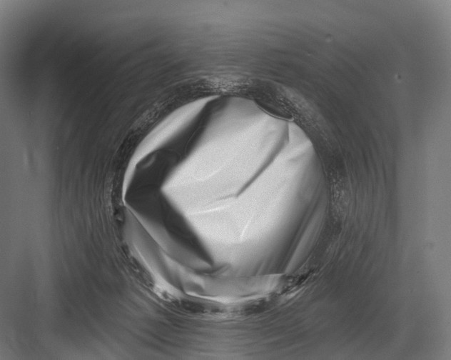 X0000082730221200702161915