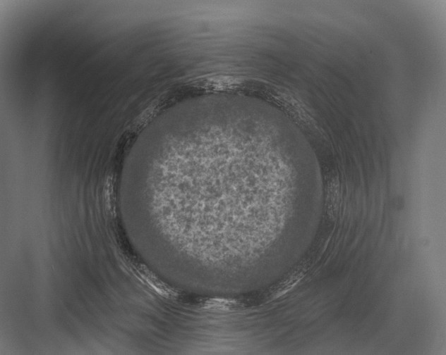 X0000082730222200702161915