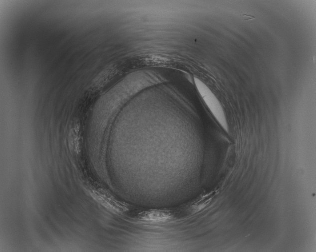 X0000082730223200702161915