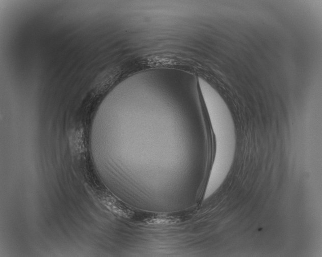 X0000082730224200702161915