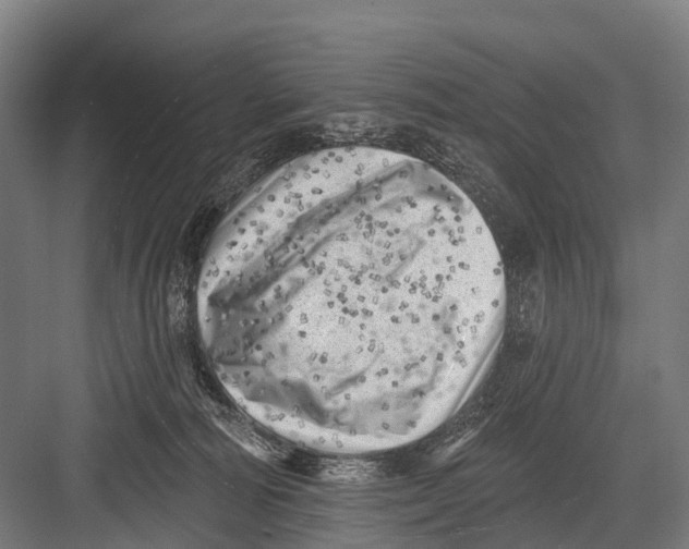 X0000082730226200702161915