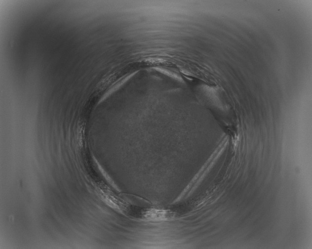 X0000082730227200702161915