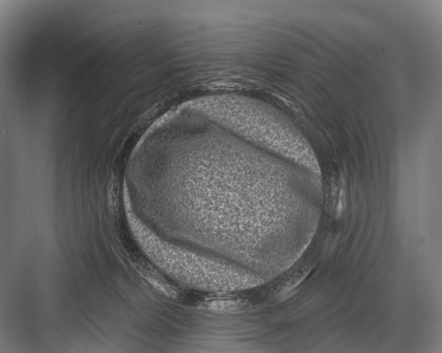 X0000082730228200702161915