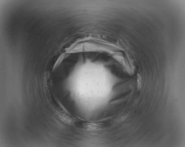 X0000082730229200702161915