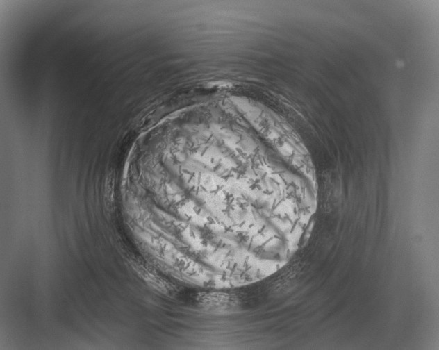 X0000082730230200702161915