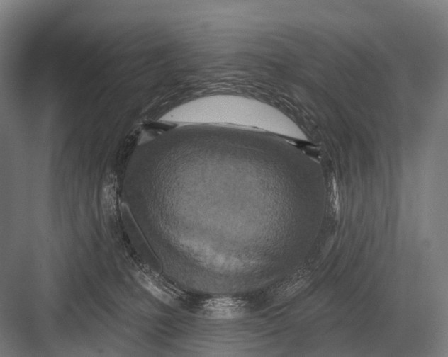 X0000082730231200702161915