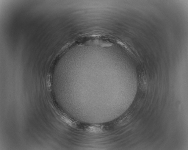 X0000082730232200702161915