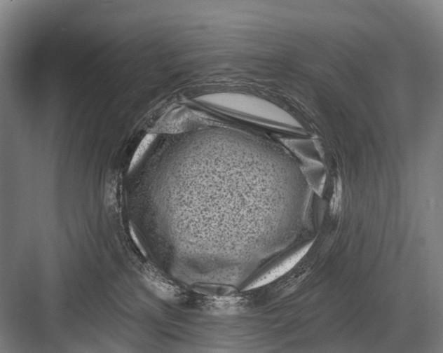 X0000082730233200702161915