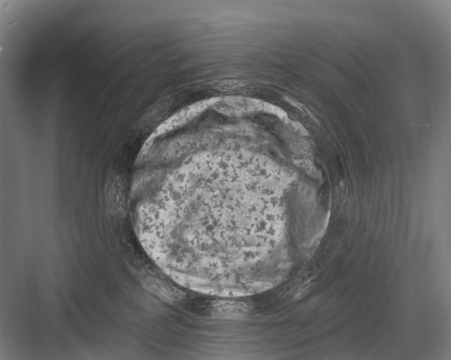 X0000082730234200702161915