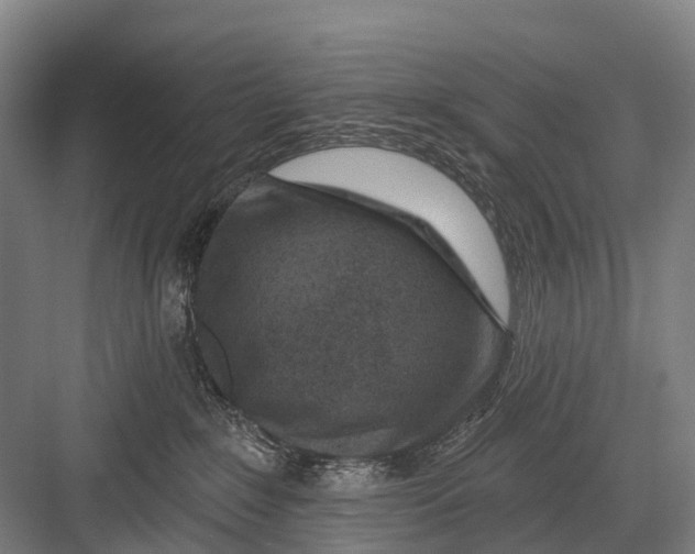 X0000082730235200702161915