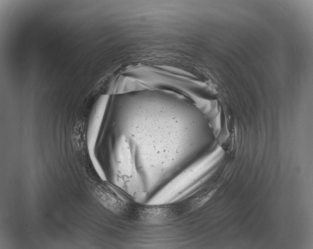 X0000082730237200702161915