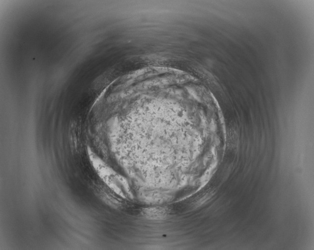 X0000082730238200702161915