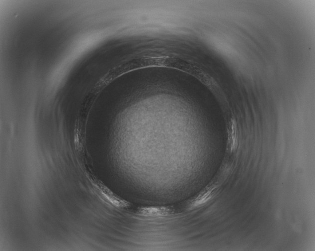 X0000082730239200702161915