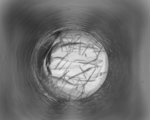 X0000082730241200702161914