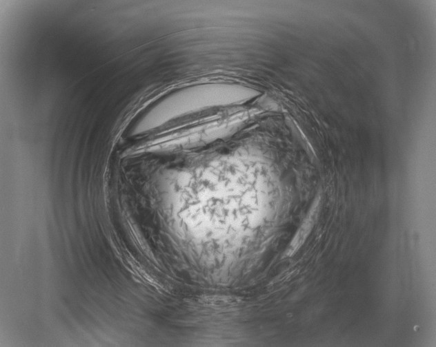 X0000082730242200702161914