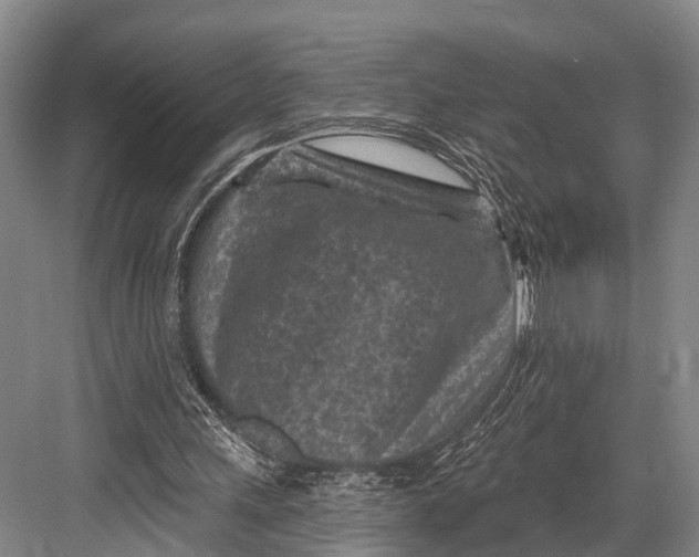 X0000082730243200702161914