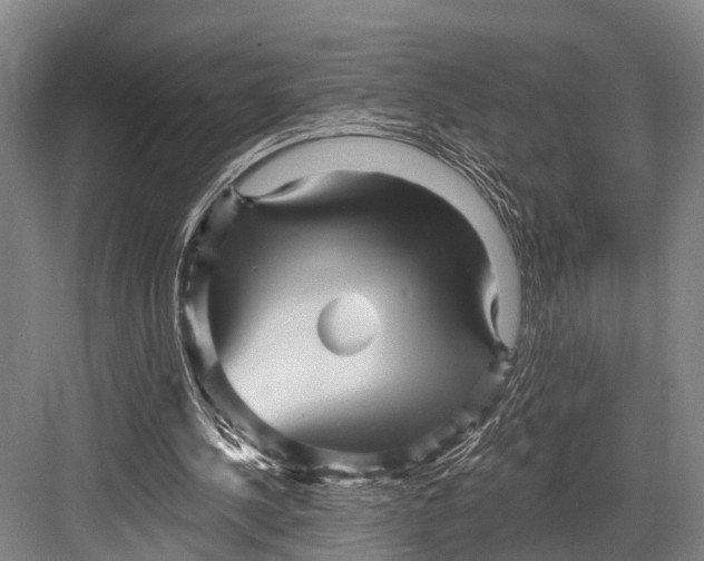 X0000082730244200702161914