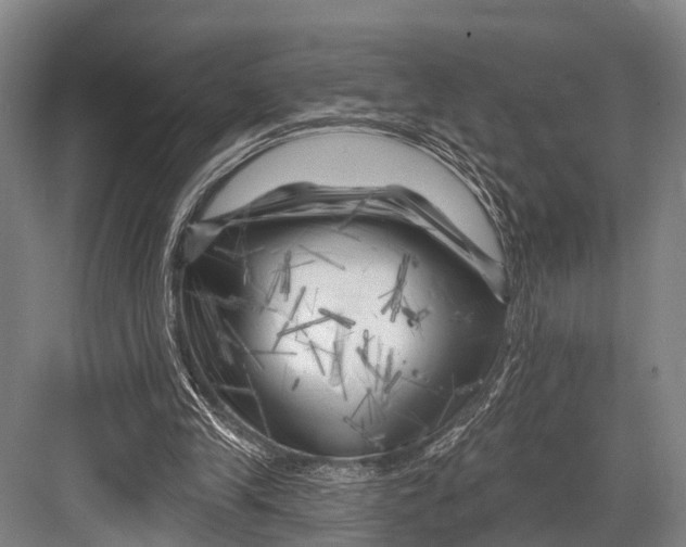 X0000082730245200702161914