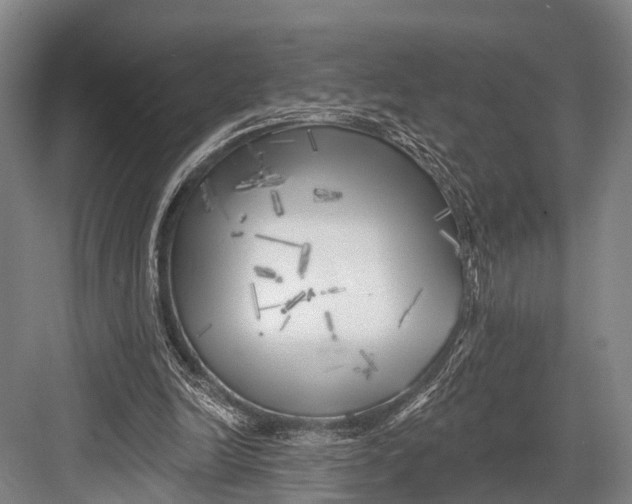 X0000082730246200702161914