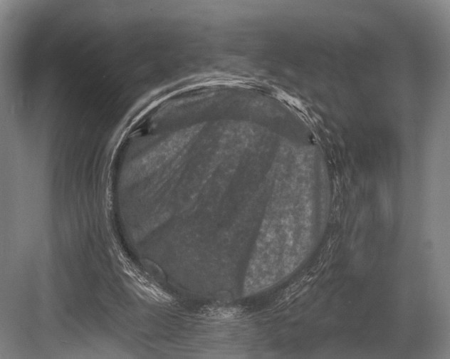 X0000082730247200702161914