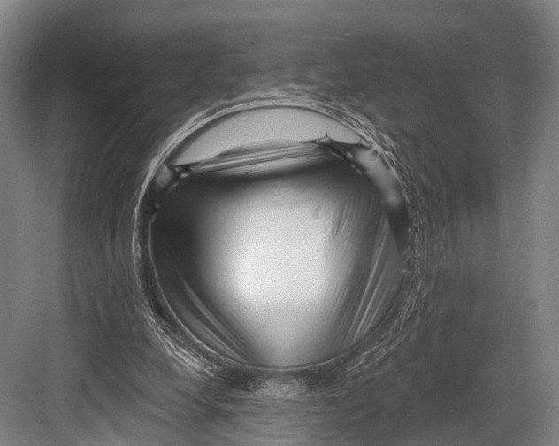 X0000082730248200702161914