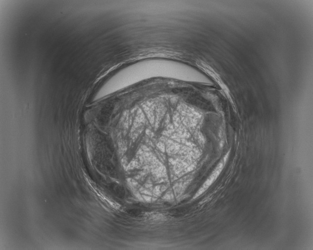 X0000082730249200702161914