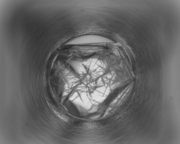 X0000082730250200702161914