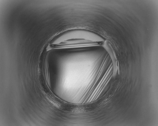 X0000082730252200702161914