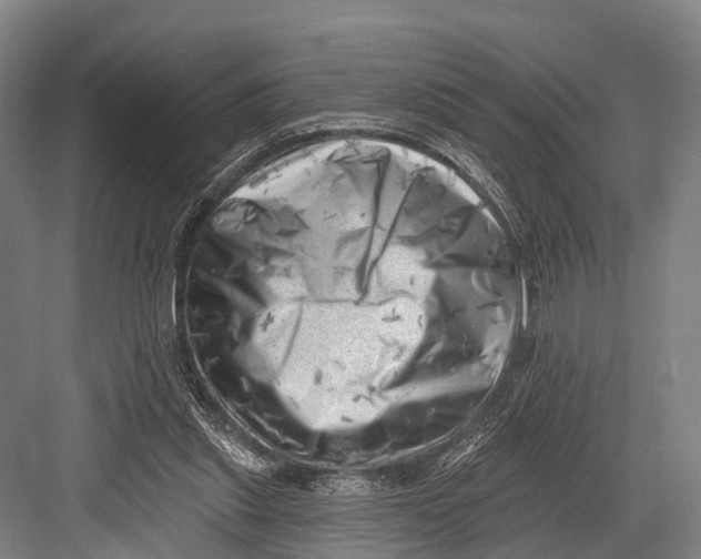 X0000082730253200702161914