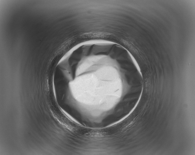 X0000082730254200702161915