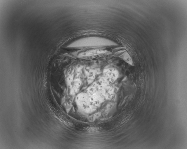 X0000082730255200702161915