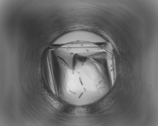 X0000082730257200702161915