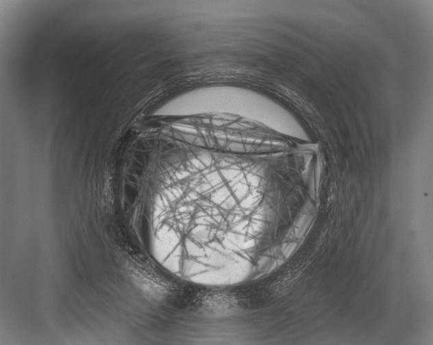 X0000082730258200702161915