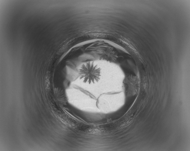 X0000082730259200702161915