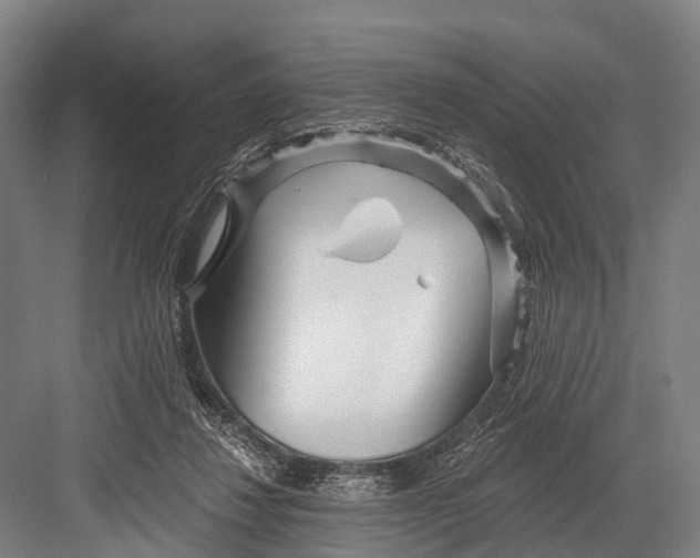 X0000082730260200702161915