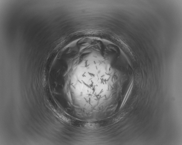 X0000082730261200702161915