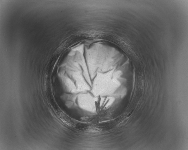 X0000082730263200702161915