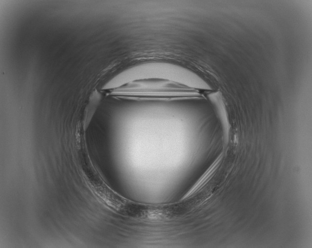 X0000082730264200702161915