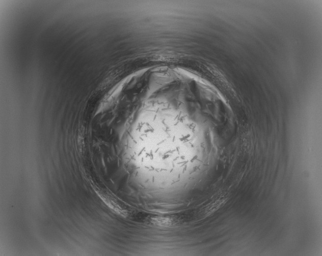 X0000082730265200702161915