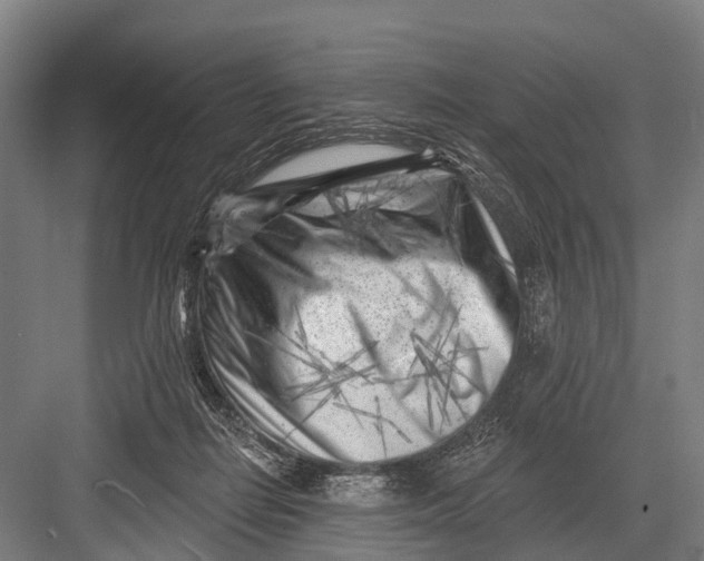 X0000082730266200702161915