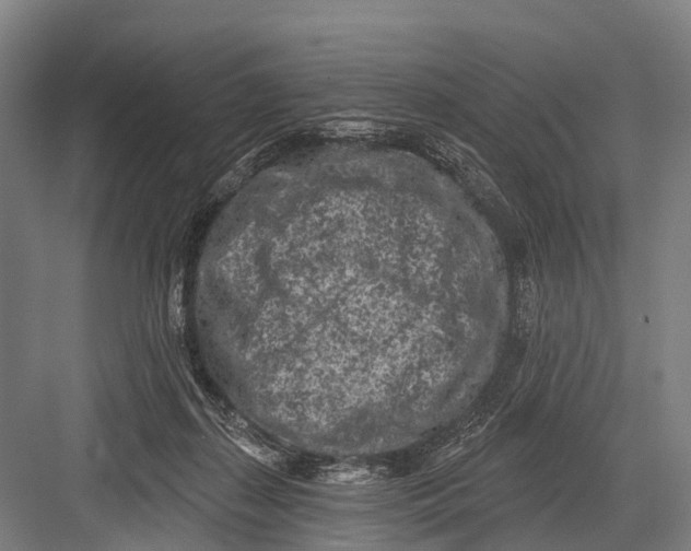 X0000082730267200702161915