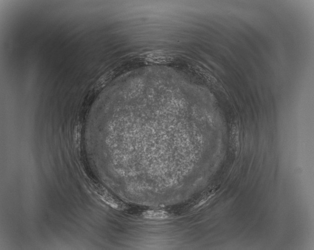 X0000082730271200702161915