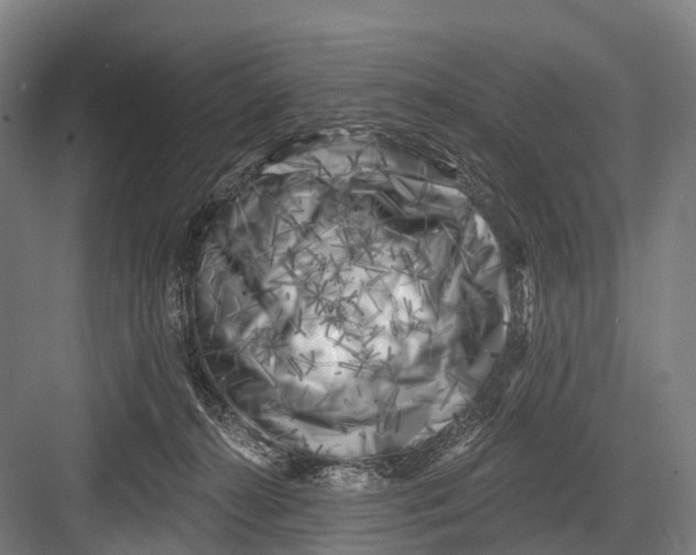 X0000082730272200702161915