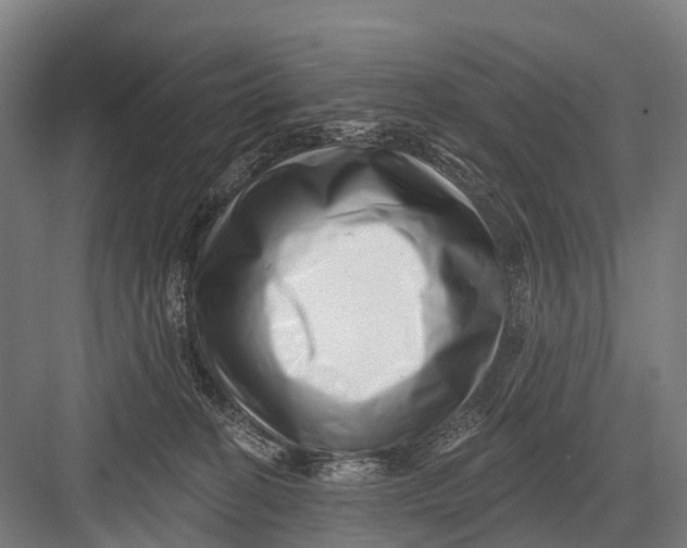 X0000082730274200702161915