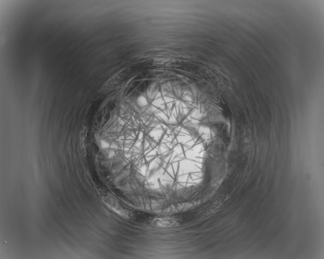 X0000082730275200702161915