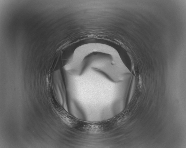 X0000082730276200702161915