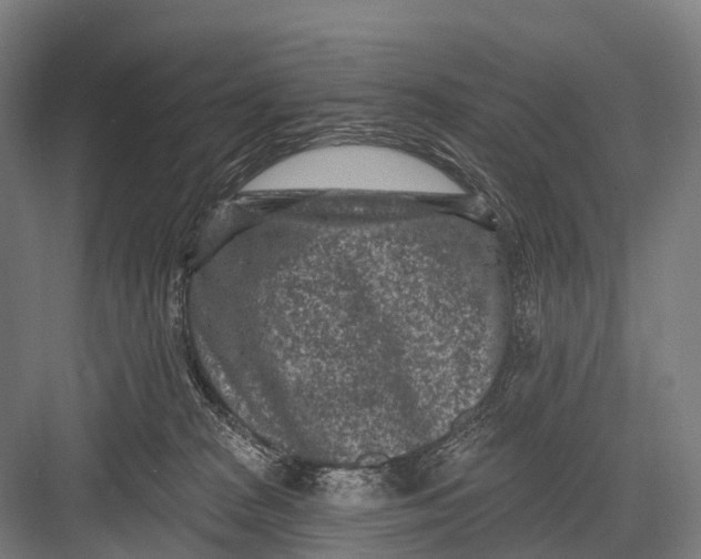 X0000082730277200702161915