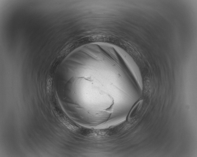 X0000082730278200702161915