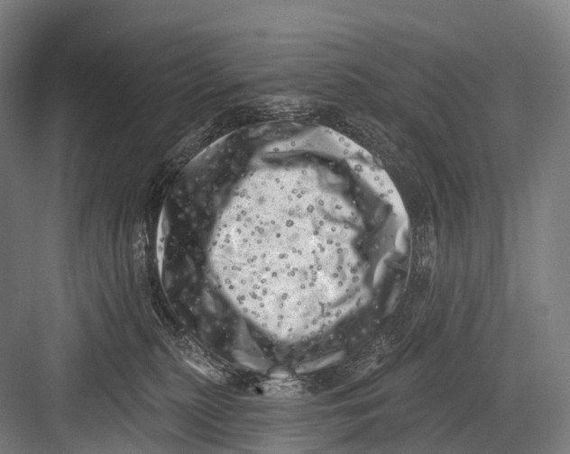 X0000082730279200702161915